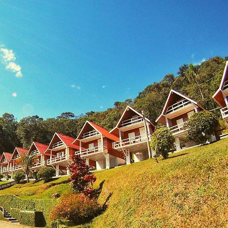Hotel Da Mata Майрипоран Экстерьер фото